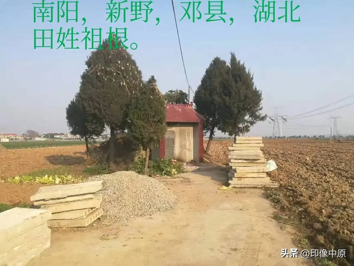 河南南阳新野县樊集乡后河村  田润公墓